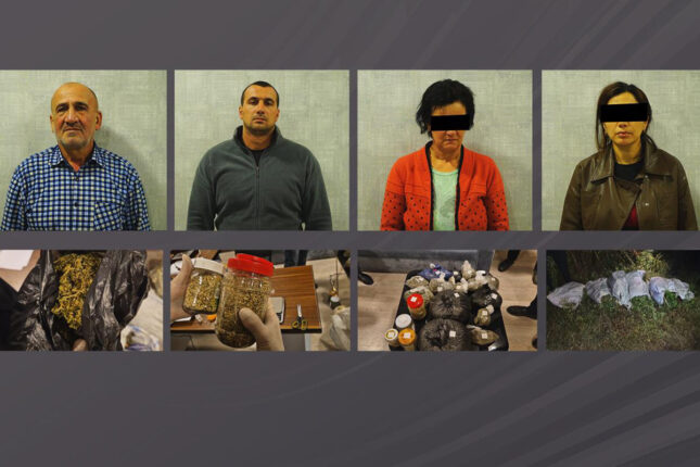 Ata, ana, oğul və gəlin narkotik plantasiyası yaratdı – Video