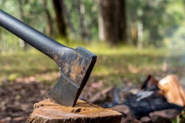 Sabiq deputatın oğluna cinayət işi açıldı — “Qırmızı kitab”a düşən ağacları…