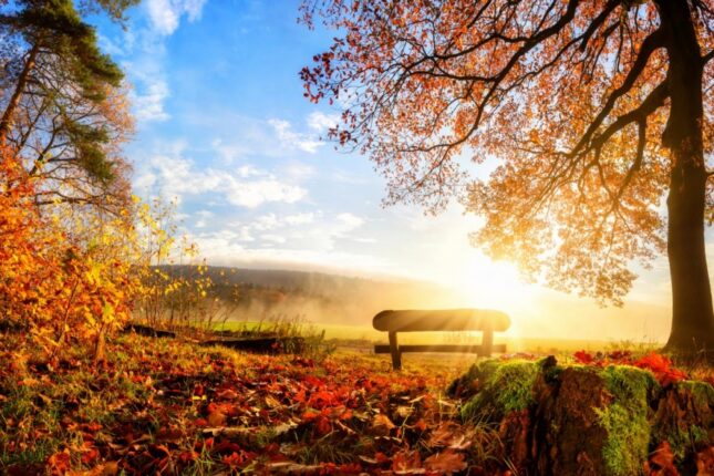 Oktyabr ayının ilk gününün HAVASI