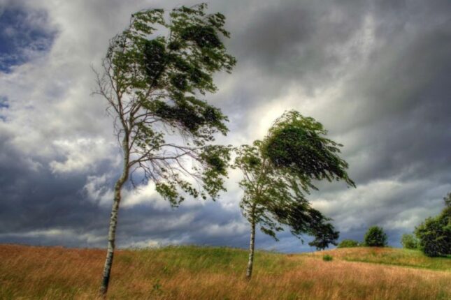 Bakıda və bölgələrdə güclü külək əsəcək