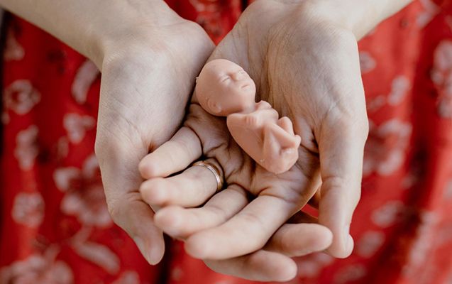 Sumqayıtda xəstəxana həyətindən 8 aylıq insan dölü tapıldı