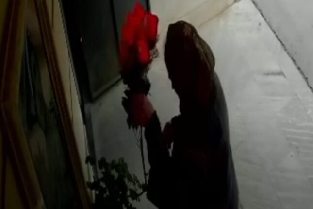 Şəhidin büstü üzərindəki güllər oğurlanıb – VİDEO