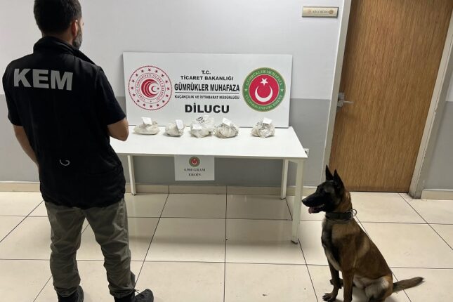 Naxçıvan gömrüyündən  keçən narkotik Türkiyədə aşkarlandı