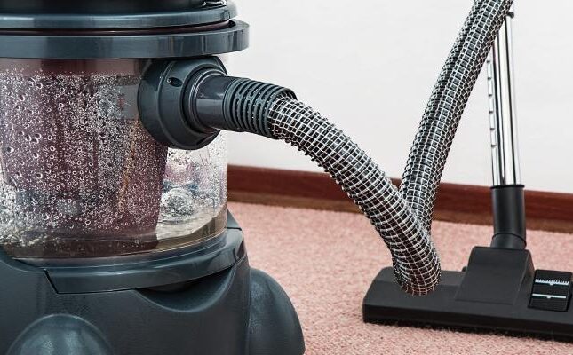 AQTA-dan Zaqatalanı basan böcəklərlə bağlı məsləhət verdi :”Tozsoranla toplayın!”