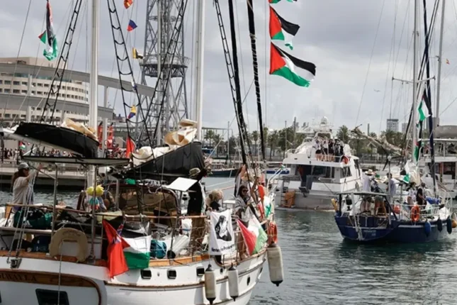 “Qlobal Sumud Donanması”nın iştirakçıları Türkiyəyə gətirilib