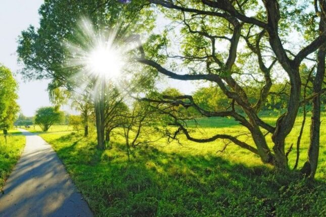 Noyabrın ilk gününün HAVASI