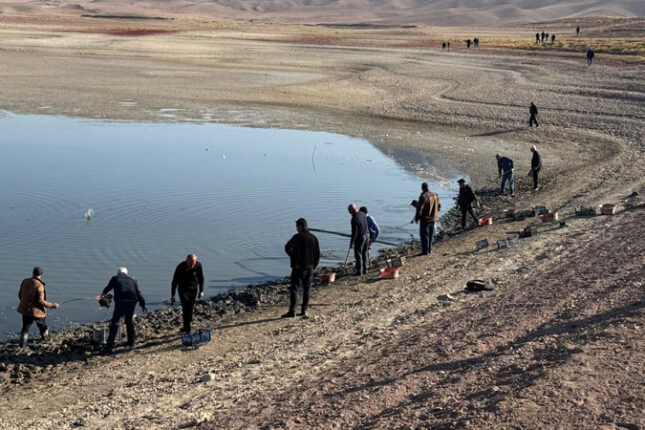 ADSEA nümayəndə heyəti Naxçıvanda əraziyə baxış keçirdi (FOTO)
