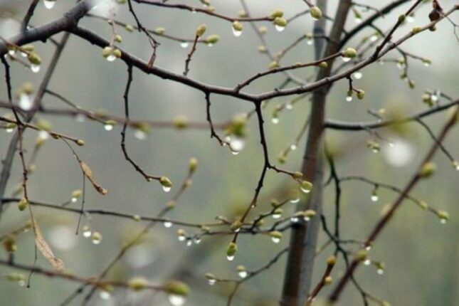 Sabah bu ərazilərə sulu qar yağacaq – Xəbərdarlıq