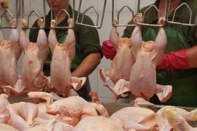 “Broylerləri yeməyin deyənlər inkişafdan xəbərsizdir” – Qida mütəxəssisi