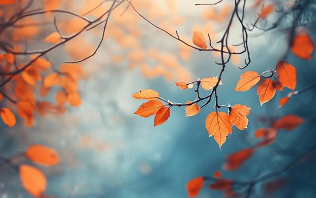 Sabah hava necə olacaq?