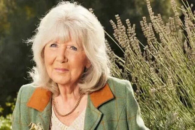 Məşhur yazıçının öz dəfni üçün istəkləri: Şampan, musiqi və…