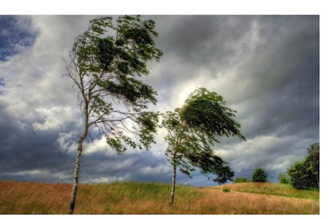 Bəzi rayonlarda külək güclənib – FAKTİKİ HAVA