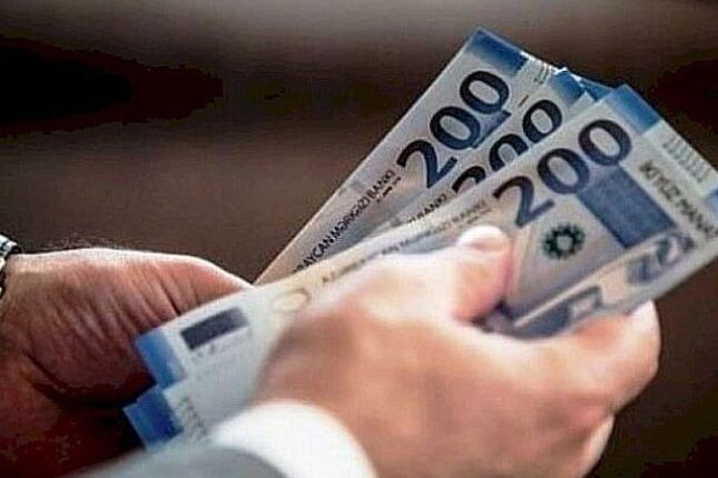 Bu agentlik yarım milyonluq təsərrüfat malları alır