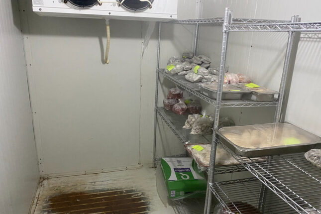 12 keytrinq şirkətinin vəzifəli şəxsi məsuliyyətə cəlb olundu – Fotolar