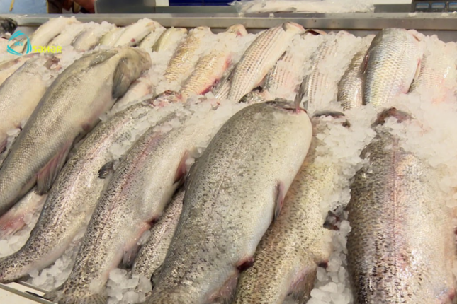 Balıq bazarlarında görünməyən təhlükə — AĞA Salamovdan XƏBƏRDARLIQ