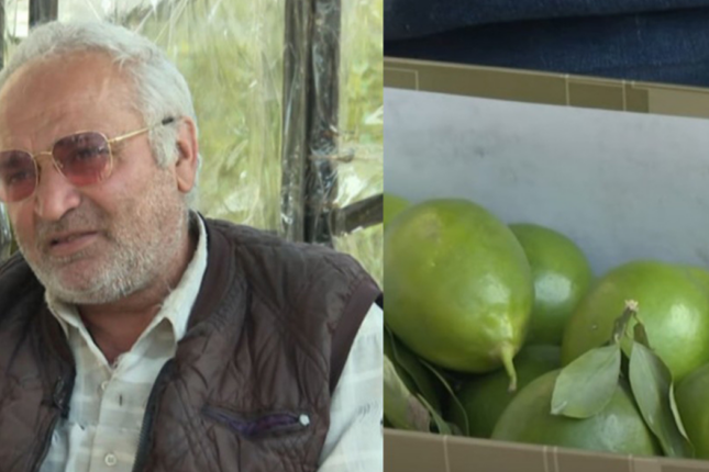 Limon satır, hesabında milyonu var – Video