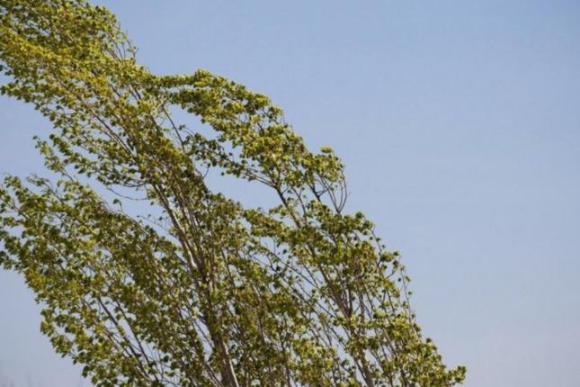 Həftənin ilk iş günü külək güclənəcək – PROQNOZ