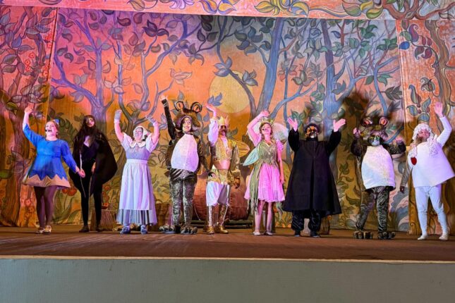 Gənc Tamaşaçılar Teatrı Qubada çıxış edib-FOTOLAR,VİDEO