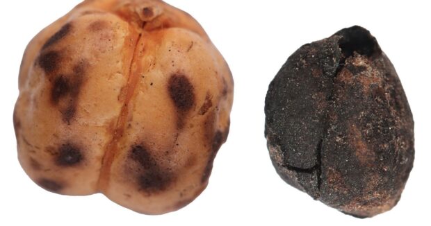 Qədimdən bu günə qədər gələn Türkiyə çörək irsi – Fotolar