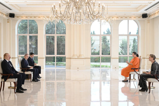 Prezident Niderland səfirinin etimadnaməsini qəbul edib – FOTOLAR