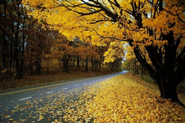 Sabahın hava prqonozu AÇIQLANDI