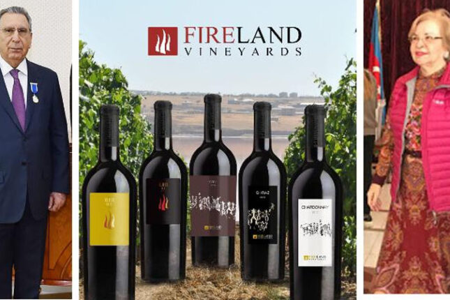 Mehdiyevin xanımı dövlətə olan borcunu niyə ödəmir?