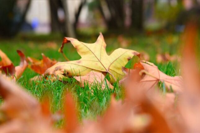 Sabah gözlənilən hava şəraiti açıqlanıb