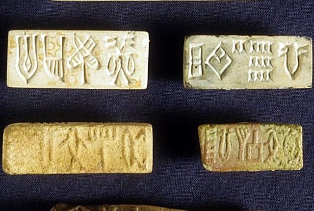 Bu yazını oxuyan 1 milyon dollar qazana bilər – Hindistan 100 illik sirri açanları axtarır