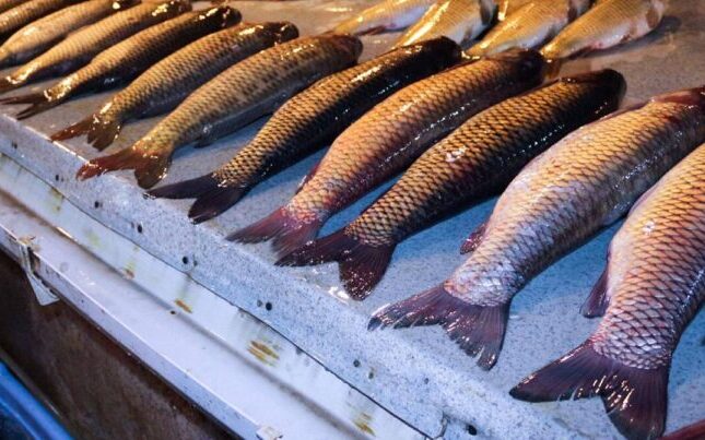 “Balıq baha olsa da, alıram” – İnsanlar mal ətindən imtina edir