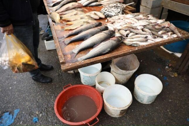 “8-ci km” bazarında nöqsanlar aşkarlandı – VİDEO