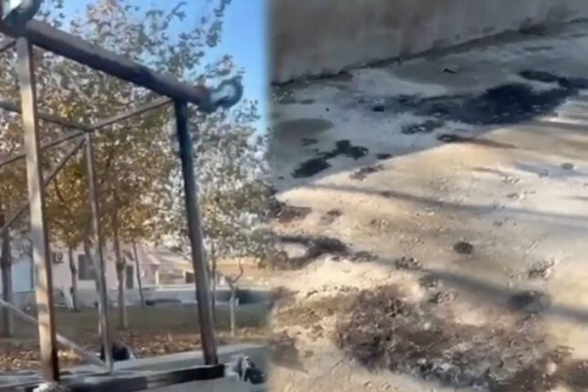 “Lake Hotel” faciəsi: “Bu, adi bədbəxt hadisə deyil…” – 4 ofisiantın ölümündə günahkar kimdir?