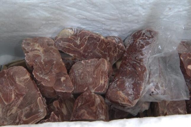 Şadlıq saraylarında mənşəyi məlum olmayan ətlər aşkarlandı (VİDEO)