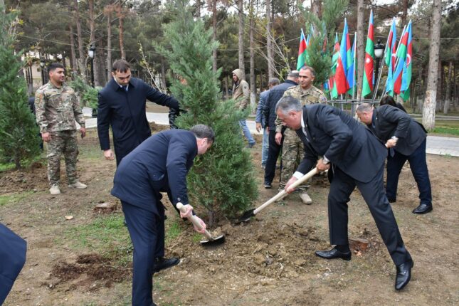 Zəfər Günü münasibəti ilə Abşeronda ağacəkmə aksiyası keçirildi – Fotolar