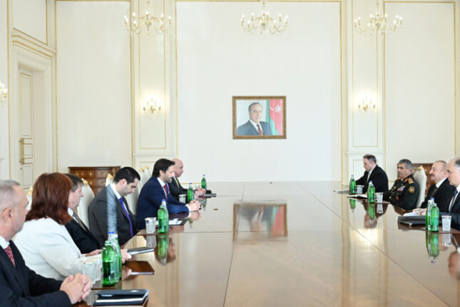 Prezident Slovakiyadan olan nümayəndə heyətini qəbul etdi (FOTO)