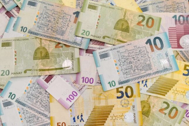 16 manat sığorta ödənişi bütün işsizlərə aid olacaq? – Deputat açıqladı