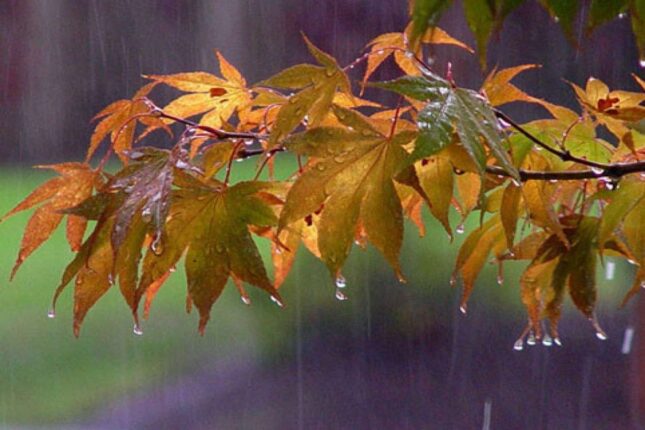 Noyabrın son günü hava necə olacaq? – Proqnoz