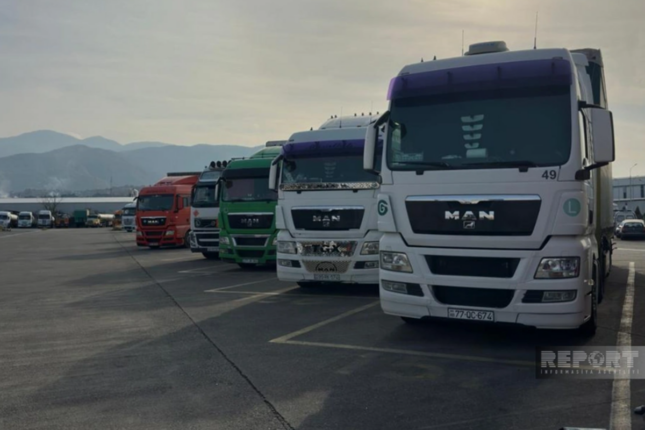 Gürcüstan 20 gündür Azərbaycan “TIR”larını gömrükdən buraxmır (FOTO)