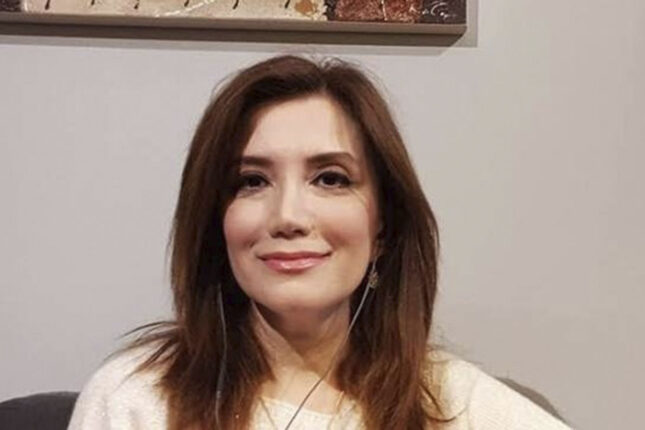 Gültəkin Hacıbəyli Türkiyədə saxlanıldı