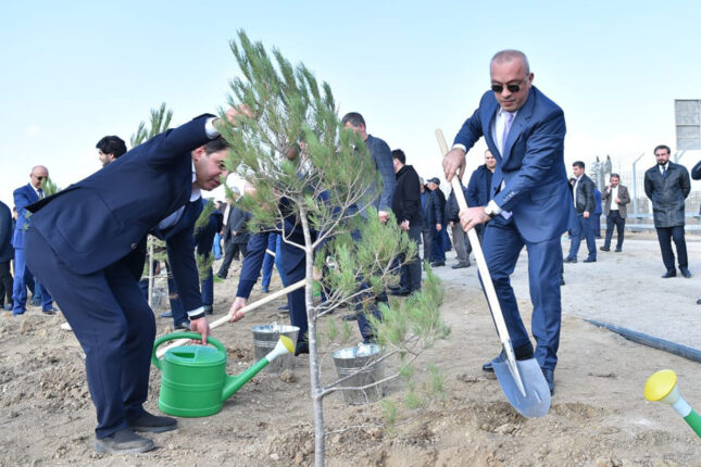 ADSEA Zəfər Günü münasibətilə ağacəkmə aksiyası təşkil edib – Fotolar