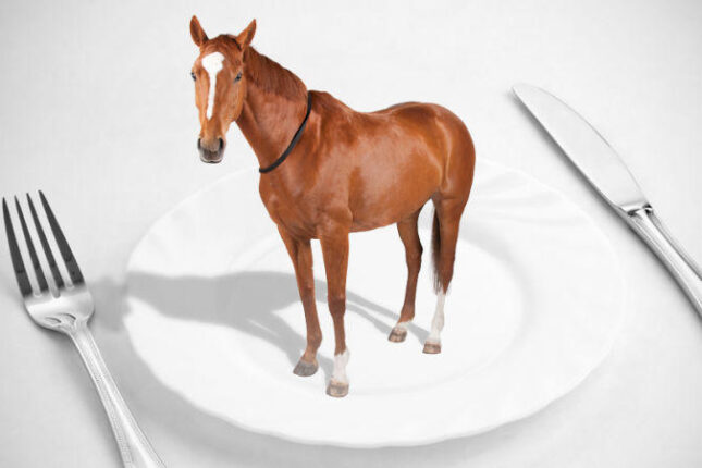 At əti yemək haramdır? – Açıqlama