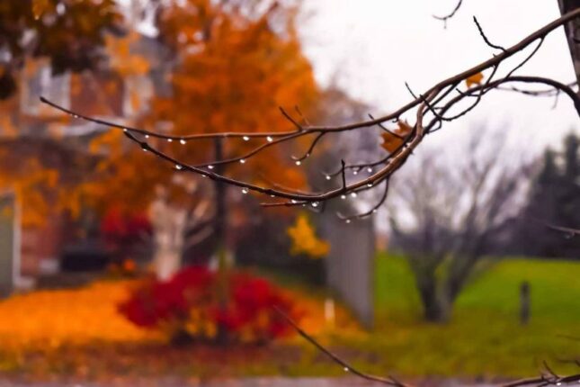 Həftənin sonuncu iş günü yağış yağacaq