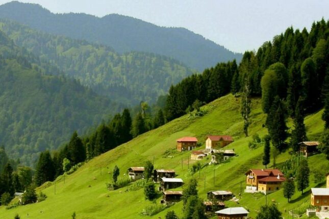 İstirahət günlərində insanlar daha çox hansı rayonlara getməyi üstün tuturlar? – VİDEO