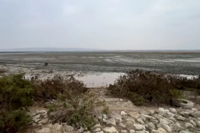 Azərbaycanın ən böyük göllərindən biri quruyur: Ekoloqlar həyəcan təbili çalır (VİDEO)