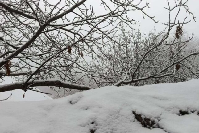 Naxçıvanın dağlıq ərazilərində qarın hündürlüyü 29 sm-ə çatıb