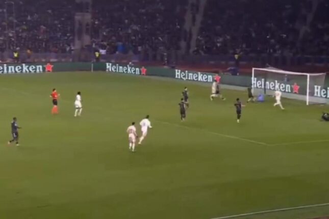 Koxalskinin möhtəşəm seyvi – VİDEO