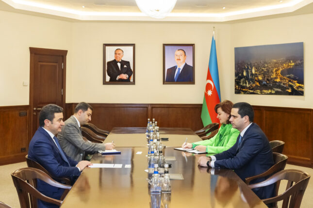 Azərbaycan və Slovakiya arasında əməkdaşlığın genişləndirilməsi müzakirə olunub