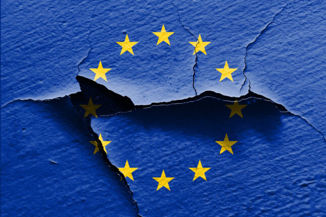 Aİ-də panika – Mask Avropanı bölmək istəyir?