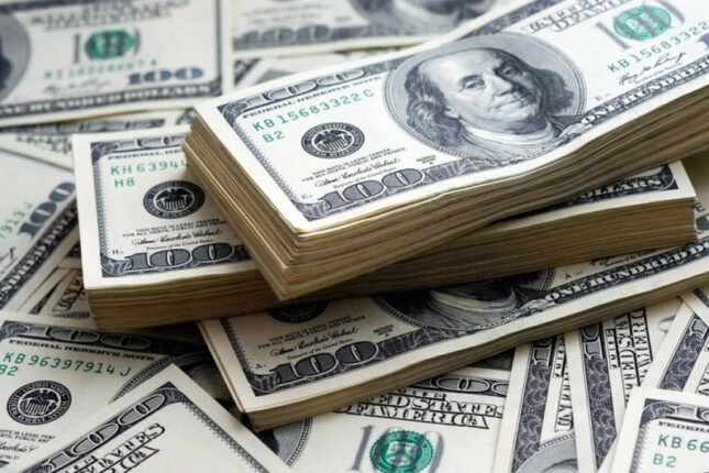 Türkiyə şirkəti Azərbaycandan külli miqdarda valyuta çıxarıb