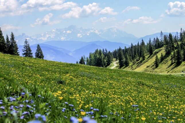 Sabaha olan hava proqnozu