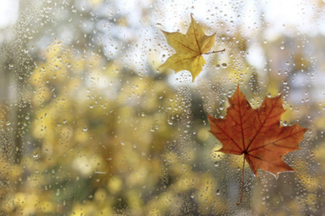 Sabah da yağış yağacaq